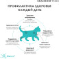 Сухой корм для котят беззерновой GRANDORF Fresh Holistic Kitten мясо ягненка с бататом 2 кг (2529) - Фото 4