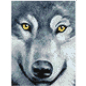 Алмазная вышивка WIZARDI Взгляд волка 15х20 см (WD2361) - Фото 2