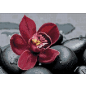 Алмазная вышивка WIZARDI Королевская орхидея 38х27 см (WD036) - Фото 4