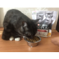 Сухой корм для котят PURINA PRO PLAN Original Kitten курица 3 кг (7613036505895) - Фото 3
