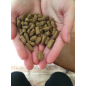 Сухой корм для собак UNICA Dog&Dog Expert Regular 20 кг (8001541003552)