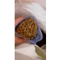 Сухой корм для кошек MORANDO Professional кролик 2 кг (8007520099028)