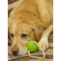 Игрушка для собак FANCY PETS Мячик на веревке 30/8,5 см (FPP9)