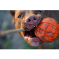 Игрушка для собак LIKER Cord 7 Мяч 37 см d 7 см (6296) - Фото 2