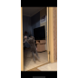 Игрушка для кошек TRIXIE Дразнилка Мышка со звуком на дверной проем 8 см/190 см (4065) - Фото 2