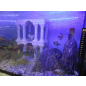 Декорация для аквариума DEKSI Атлантида №305 25х15х38 см (305d) - Фото 2