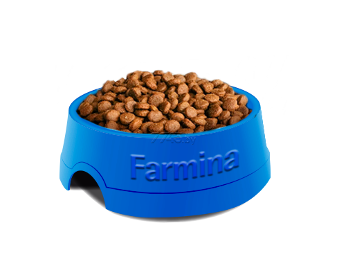 Сухой корм для собак FARMINA Fun Dog ягненок 10 кг (8010276030153) купить в  Минске — цены в интернет-магазине 7745.by
