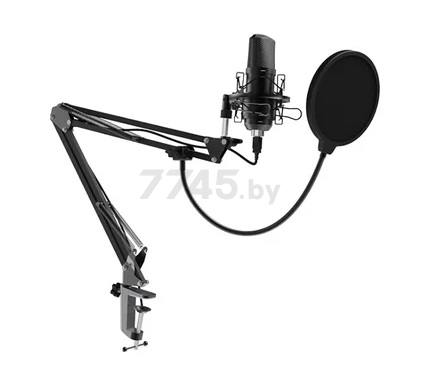 Микрофон RITMIX RDM-169 Black - Фото 2