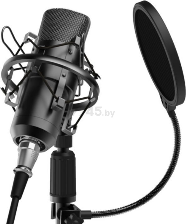 Микрофон RITMIX RDM-175 Black - Фото 5