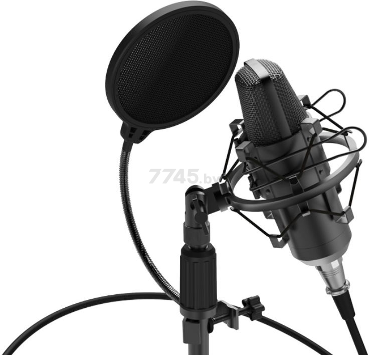 Микрофон RITMIX RDM-175 Black - Фото 6