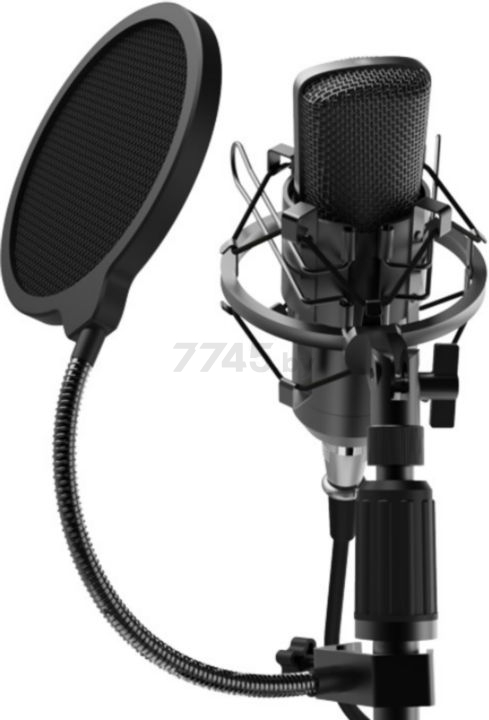 Микрофон RITMIX RDM-175 Black - Фото 7
