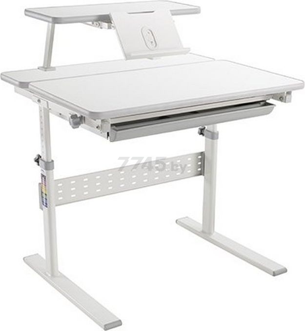 Парта РАСТУЩАЯ МЕБЕЛЬ Study Desk E202S с полкой (2490001)