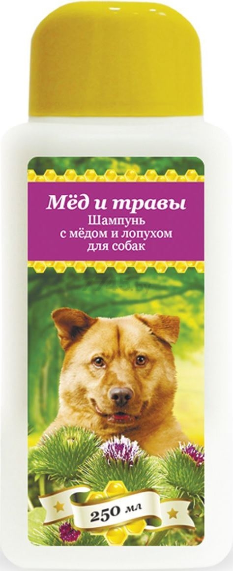Шампунь для собак PCHELODAR Мед и травы с медом и лопухом 250 мл (4607145631876)