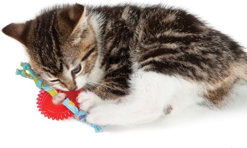Игрушка для кошек PETSTAGES Chew Wheel d 6,5см (715) - Фото 2