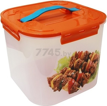 Коробка для хранения вещей пластиковая IDEA Деко шашлык (М2823)