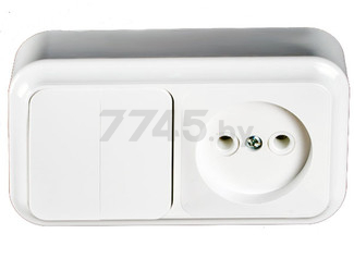 Выключатель двойной с розеткой наружный BYLECTRICA Пралеска белый (2В-РЦ-523) - Фото 2