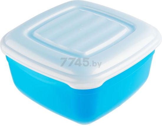 Контейнер пластиковый для пищевых продуктов СиАпБел 2,4 л (00045)