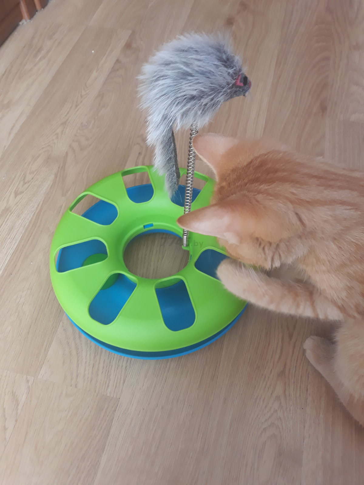 Игрушка для кошек TRIXIE Безумный круг с мышкой 24×29см (4135) - Фото 5