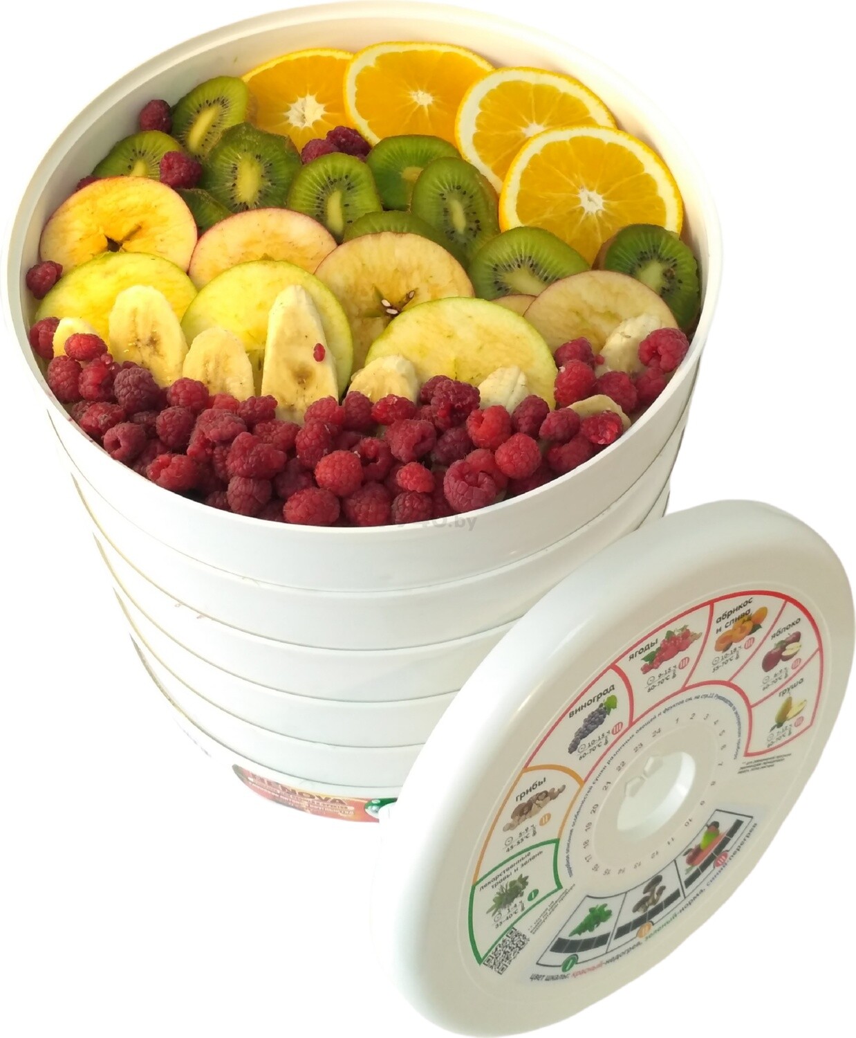 Сушилка для овощей и фруктов RENOVA DVN31-500/5 - Фото 6