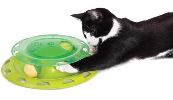Игрушка для кошек PETSTAGES Catnip Chaser с мячиком (737) - Фото 2