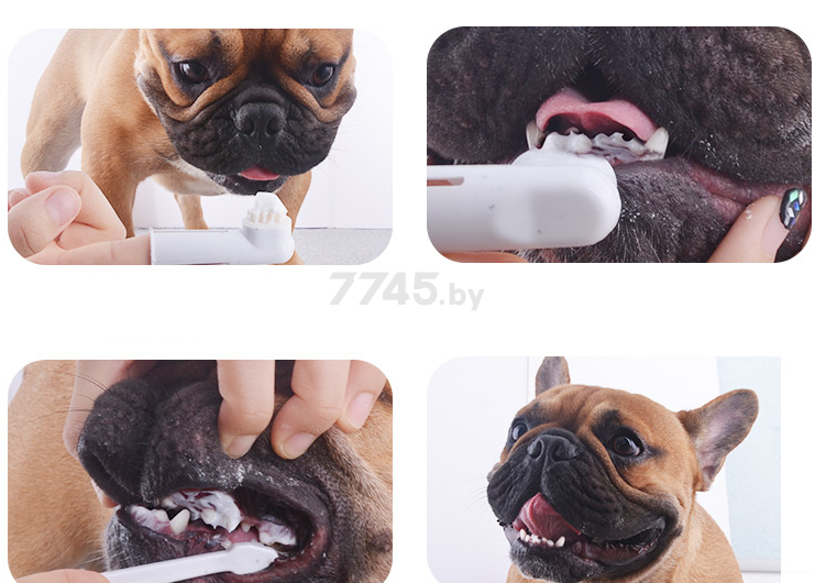 Зубная паста для собак TRIXIE с мятой 100 г (2557) - Фото 2