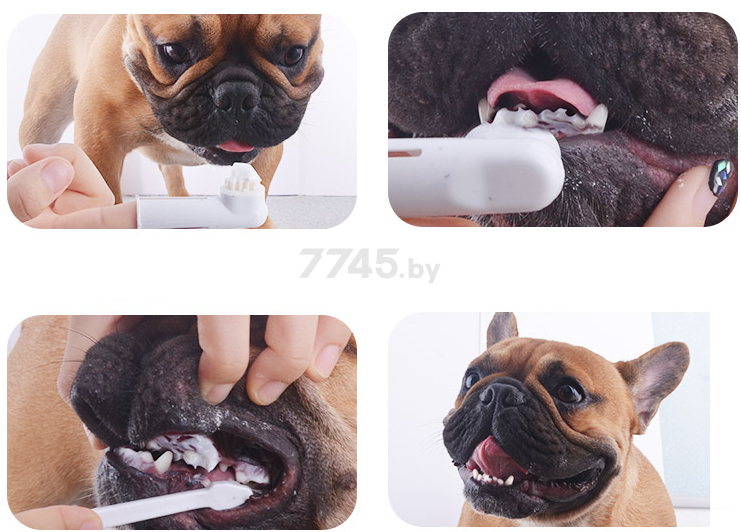 Зубная паста для собак TRIXIE со вкусом говядины 100 г (2545) - Фото 2