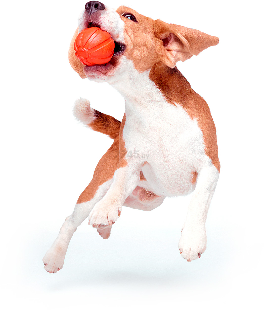 Игрушка для собак LIKER 7 Мяч d 7 см (6294) - Фото 3