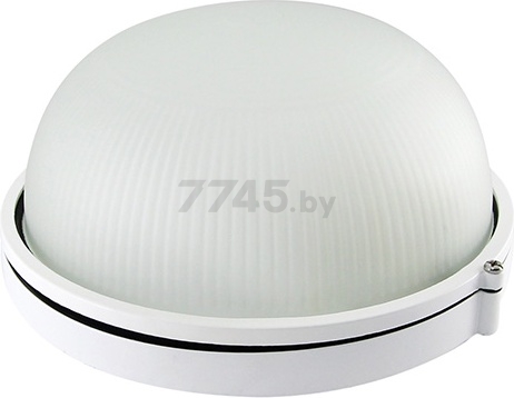 Светильник накладной НПБ1101 100 Вт TDM белый (SQ0303-0024)