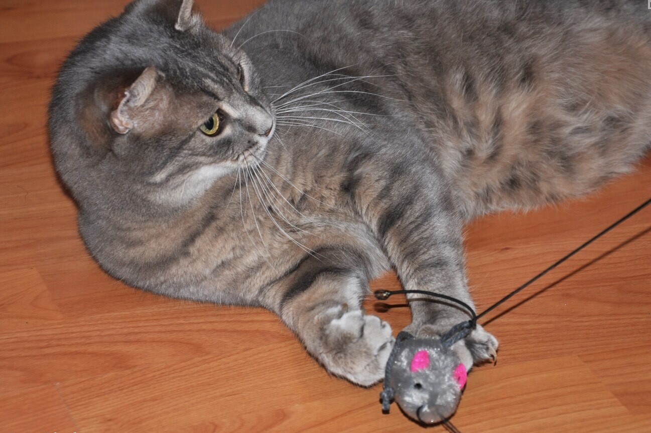Игрушка для кошек TRIXIE Удочка-дразнилка с пушистой мышью 50 см (4105) - Фото 2