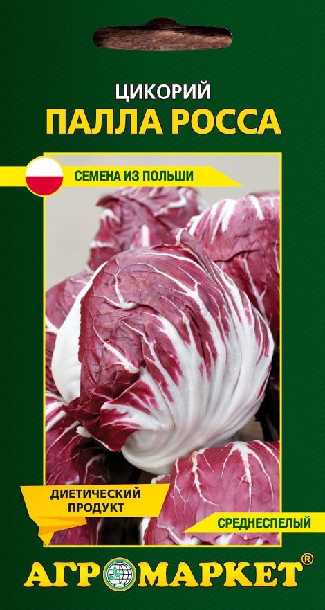 Семена цикория Палла Росса LEGUTKO 0,2 г (30307)