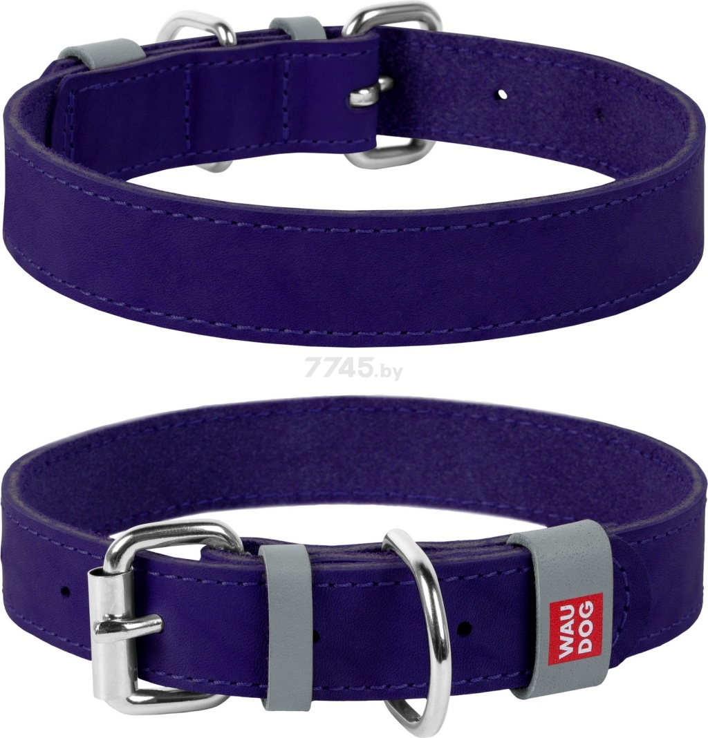 Ошейник для собак COLLAR Waudog Classic 12 мм 19-25 см фиолетовый (02019) - Фото 2