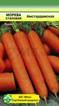 Семена моркови столовой Амстердамская МИНСКСОРТСЕМОВОЩ 2 г