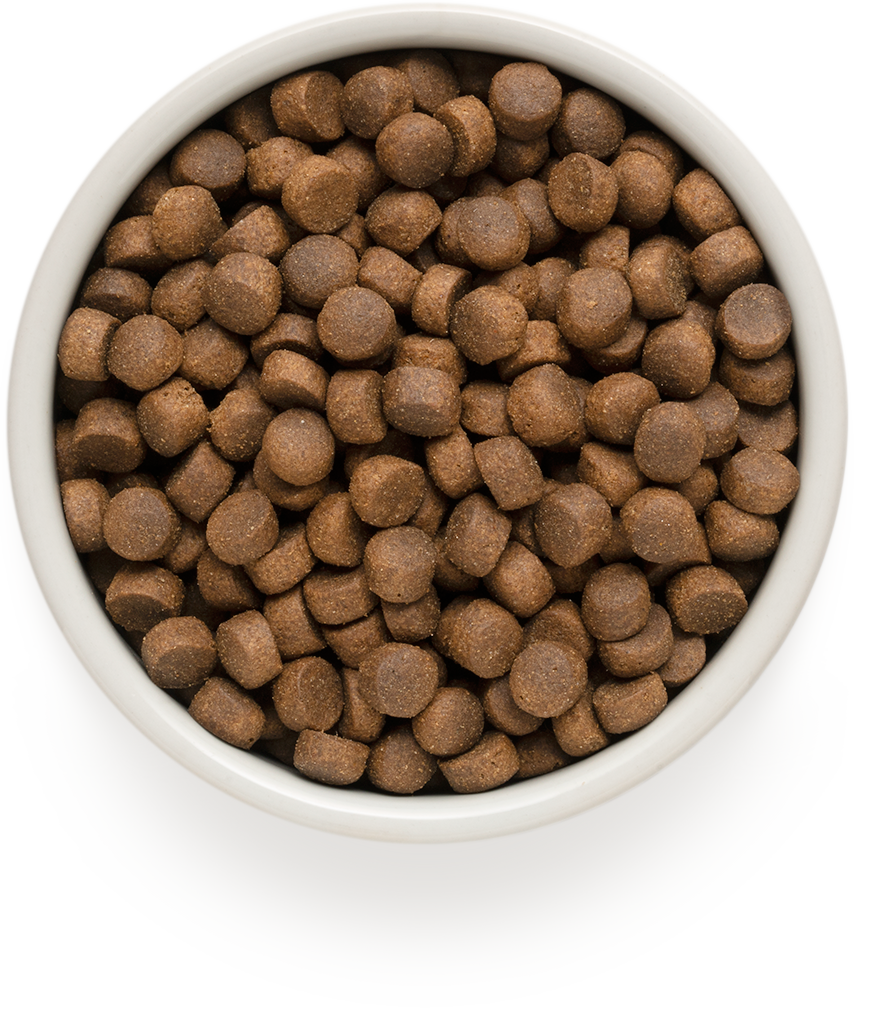 Сухой корм для собак GRANDORF Probiotic Adult Medium&Maxi 4 Meat 10 кг (5407007851133) - Фото 5
