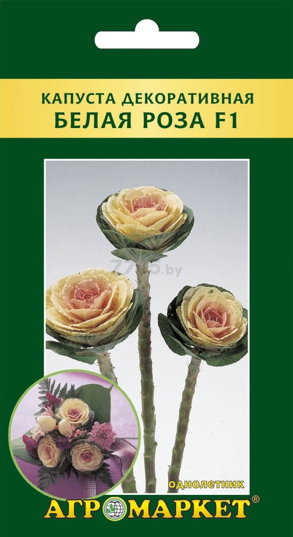 Семена капусты декоративной Белая роза F1 RNDR. JAN CERNY 10 штук (15469)
