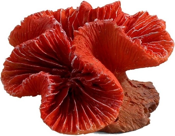 Коралл искусственный для аквариума LAGUNA Каталофиллия красная 2901LD 8х7х5 см (74004104)
