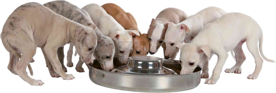 Миска для щенков TRIXIE Puppy Bowl 1,4 л (25281) - Фото 2