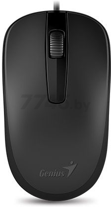 Мышь GENIUS DX-120 (31010105100) черный - Фото 2
