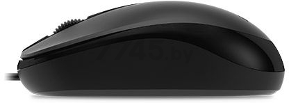 Мышь GENIUS DX-120 (31010105100) черный - Фото 3