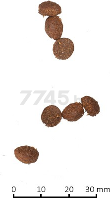 Сухой корм для кошек FARMINA N&D Low Grain ягненок с черникой 0,3 кг (8010276021564) - Фото 3