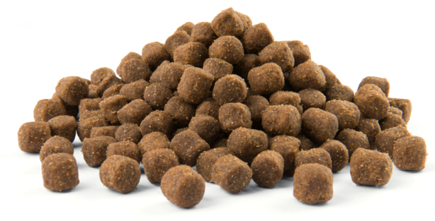 Сухой корм для собак OPTI LIFE Adult Digestion Mini ягненок и рис 2,5 кг (431134) - Фото 2