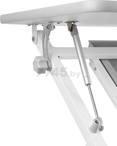 Парта РАСТУЩАЯ МЕБЕЛЬ Study Desk E202S с полкой (2490001) - Фото 4