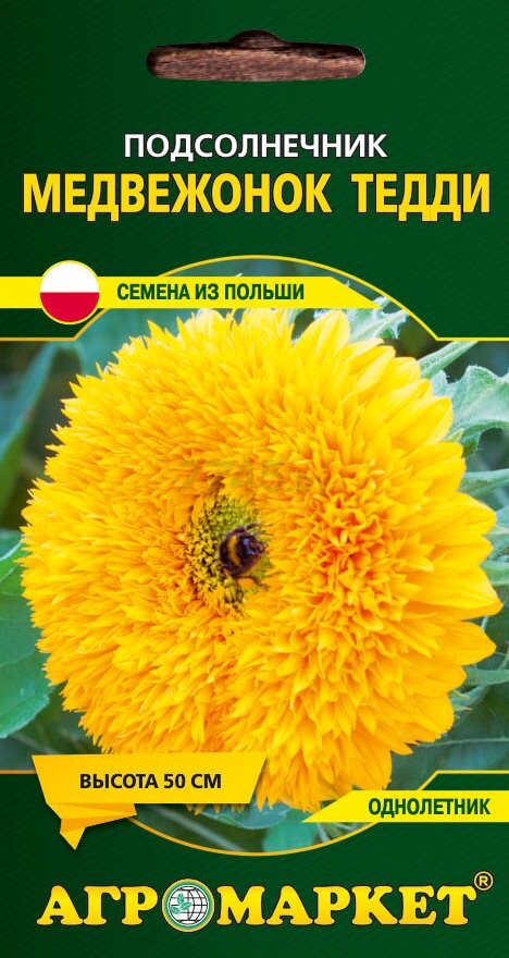 Семена подсолнечника декоративного Медвежонок Тедди LEGUTKO 15 штук (26485)