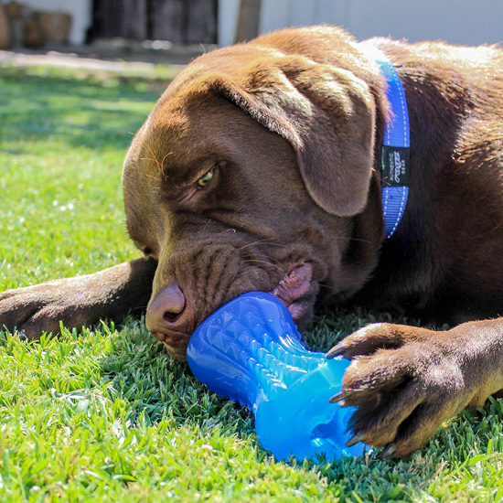 Игрушка для собак ROGZ Yumz Treat Large Blue 15 см (RYU05B) - Фото 2