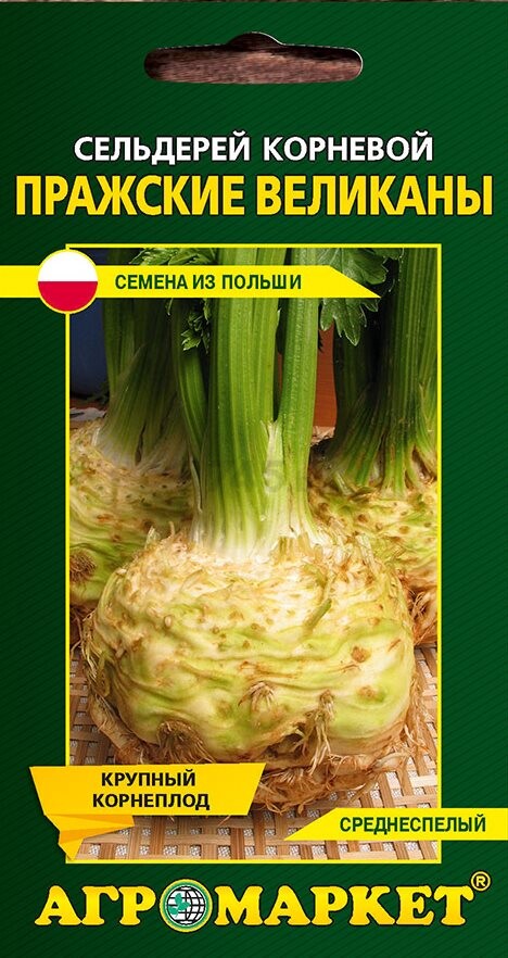 Семена сельдерея корневого Пражские Великаны LEGUTKO 0,5 г (14449)