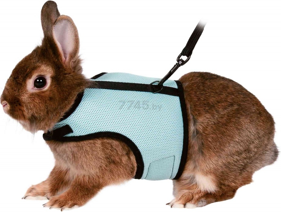 Шлейка и поводок для карликовых кроликов TRIXIE 25-32 см 1,2 м (61513) - Фото 4
