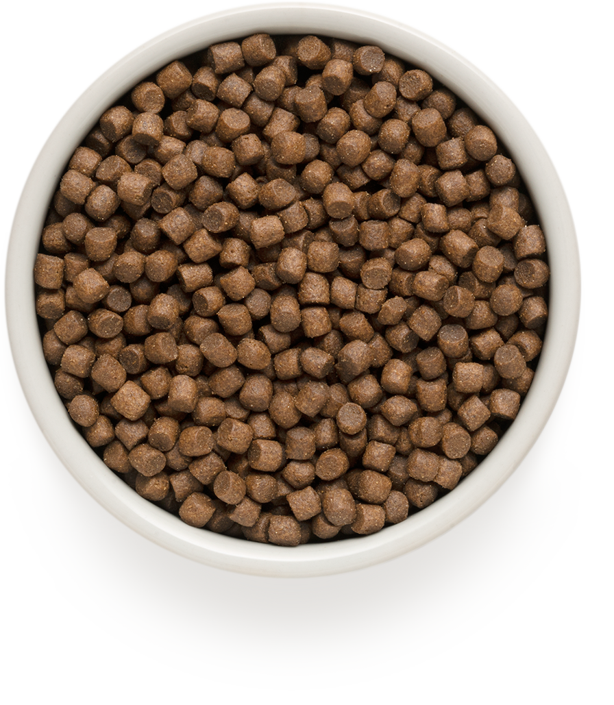 Сухой корм для собак GRANDORF Probiotic Adult Mini 4 Meat 3 кг (5407007851102) - Фото 2