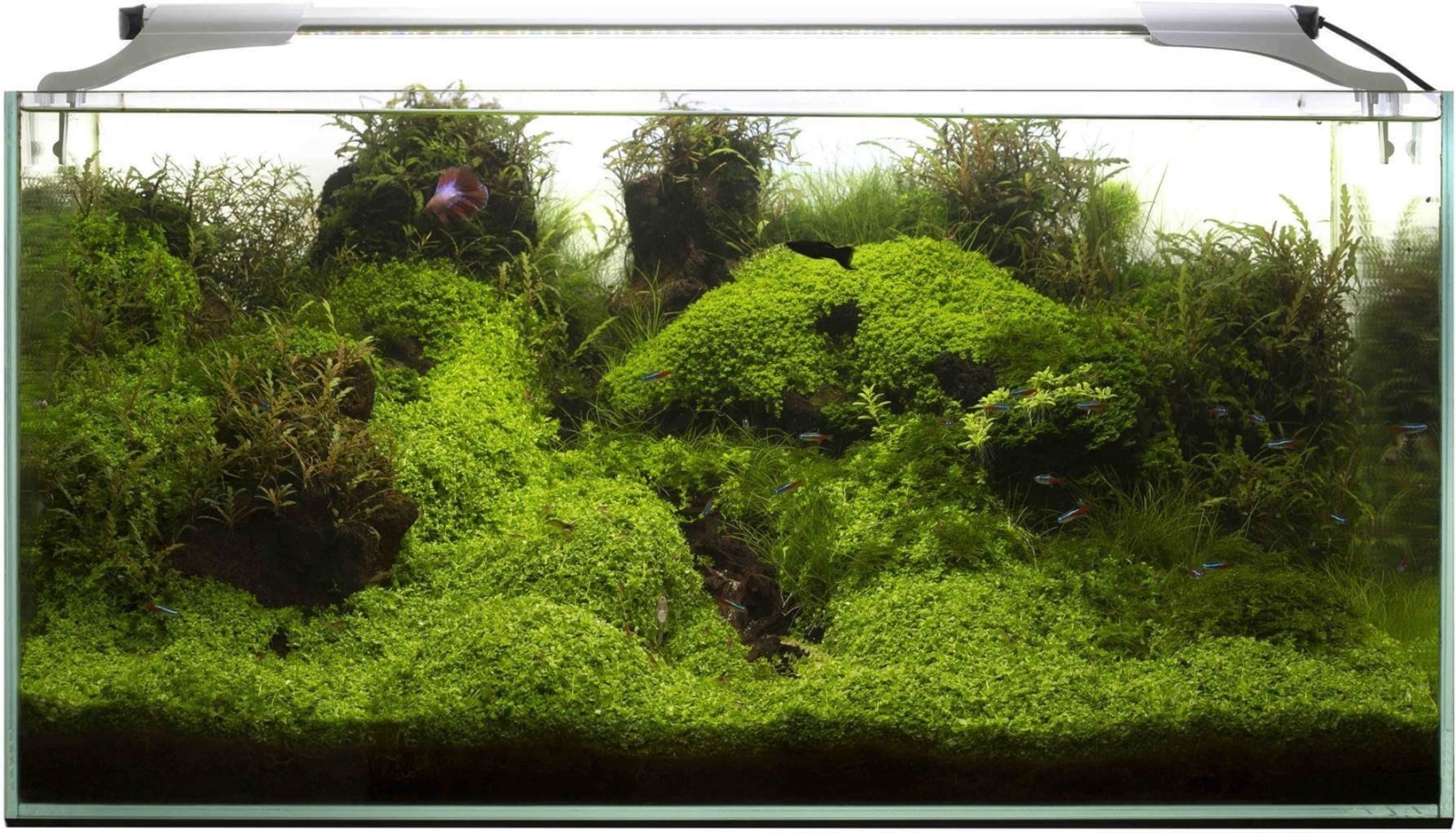 Светильник для аквариума AQUAEL Leddy Slim Plant 32 Вт 80 см белый (114589) - Фото 4