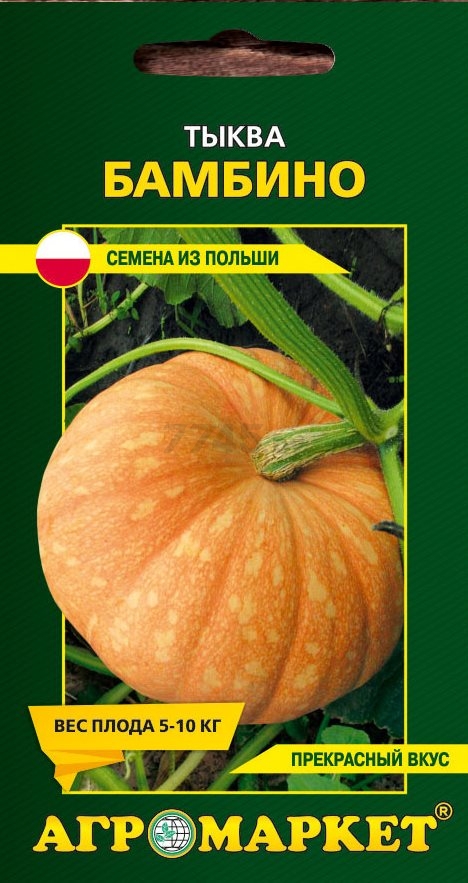 Семена тыквы Бамбино LEGUTKO 5 штук (22699)