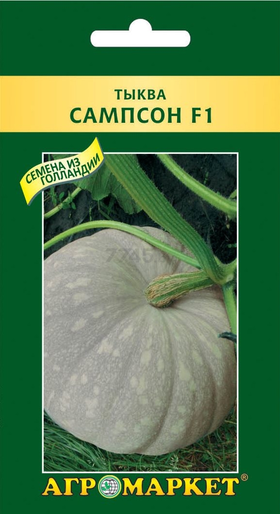 Семена тыквы Сампсон F1 ENZA ZADEN EXPORT 5 штук (25463)