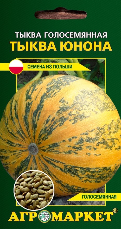 Семена тыквы Юнона (голосемянная) LEGUTKO 5 штук (30417)